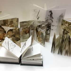 Beautiful Botanical Books