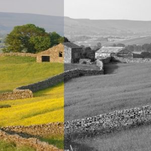 Photography - Colour v Black & White