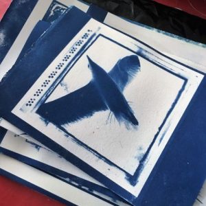A Practical Introduction to Cyanotype Print Making