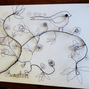 Drawing with Wire