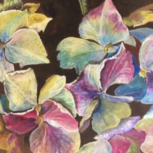 Wonderful Ways with Watercolour for Botanical Subjects (3 day series)
