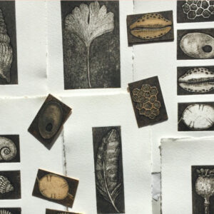 Nature in Collagraph