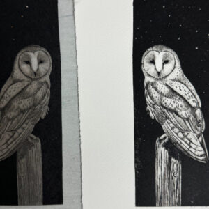 An Introduction to Intaglio Printmaking: Collagraph & Tetrapak