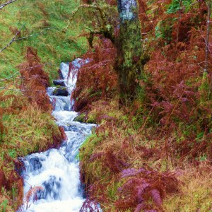 Mixed Media Autumn Landscapes + Waterfalls