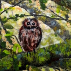Wet Felted Owl Picture - Painting with Fibres