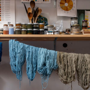 Exploring the world of Indigo