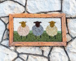 Bertie the sheep