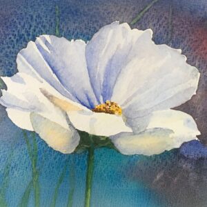 Introduction to Botanical Watercolour