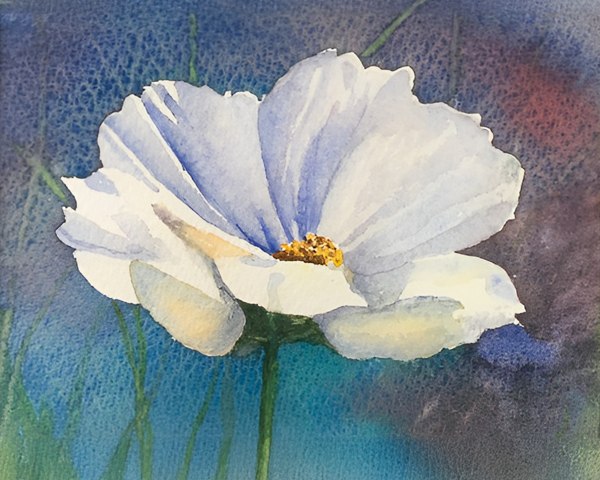 Botanical watercolour workshop