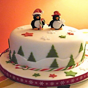 Christmas Cake Decorating Evening ***NEW EVENING SESSION***