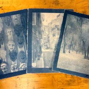 Cyanotypes - Photos & Botanicals
