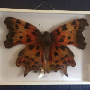 Felted Butterflies & Moths