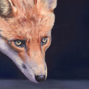 Introduction to soft pastels