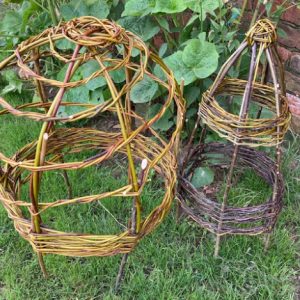 Willow Obelisks & Plant Supports for the Garden