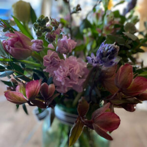 Growing Your Own Cut Flowers
