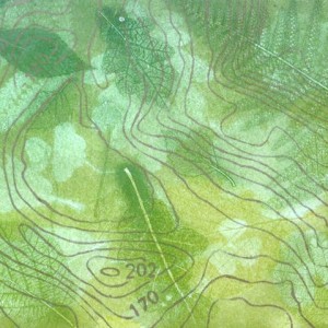 Mixed Method Printmaking - (6 x 3 hour afternoon sessions)