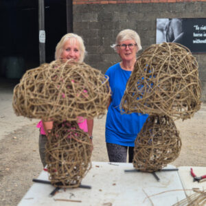 Willow Mushrooms