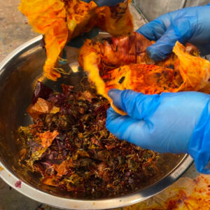 The Art of Natural Dyeing