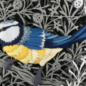 Contemporary Papercutting - Blue Tit