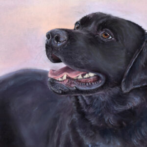 Painting Your Pets in Pastels